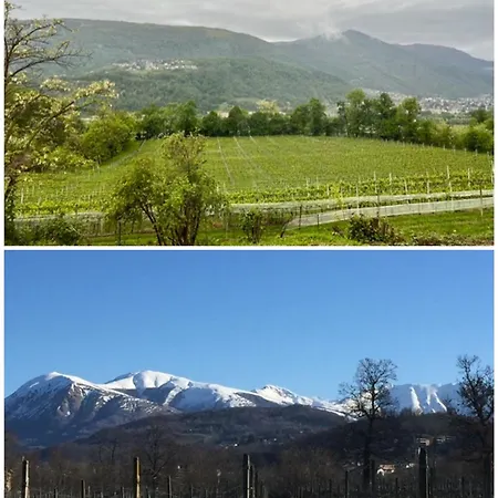 빌라 Horatius 루가노